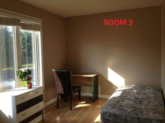 ROOM3.jpg