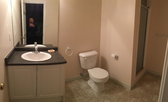 Basement Bathroom.jpeg