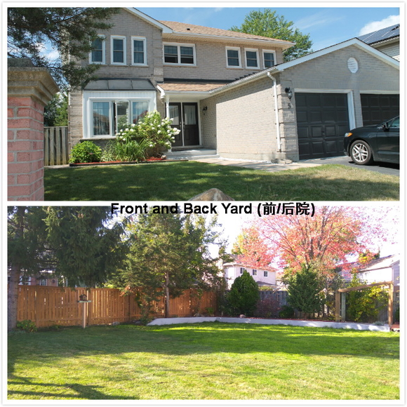 Front and Back Yard.jpg