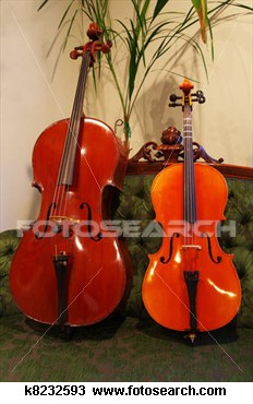 large-small-cello_~k8232593[1].jpg