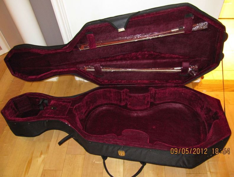 cello case (interior).JPG