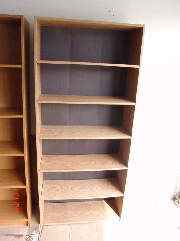 bigshallowbookcase001.jpg